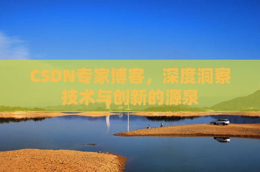 CSDN专家博客，深度洞察技术与创新的源泉